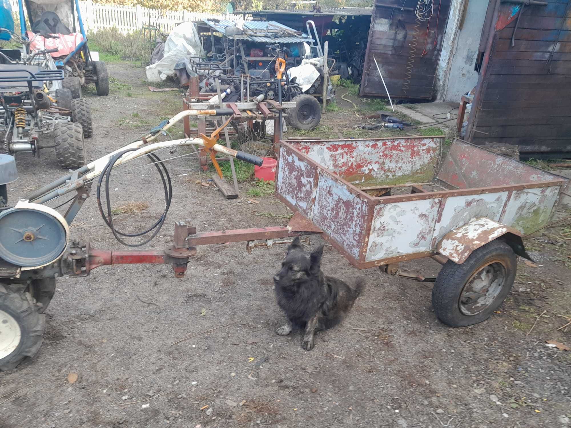 Traktorek MotoWolk, jednoosiowy ogrodniczy dzik,zestaw,dwie szt.