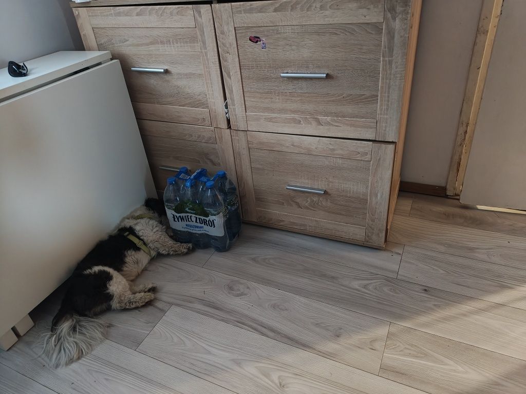 Szafa 3 elementy i komoda