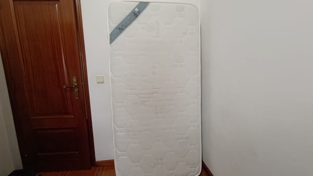 Estúdio com sofá cama armário e livreiro