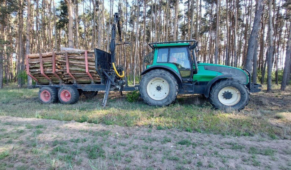 Wycinka Drzew. Prace ogrodnicze. Transport drewna. Podnośnik koszowy.