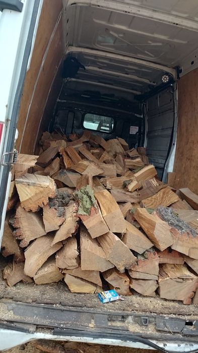 Drewno opałowe Drzewo