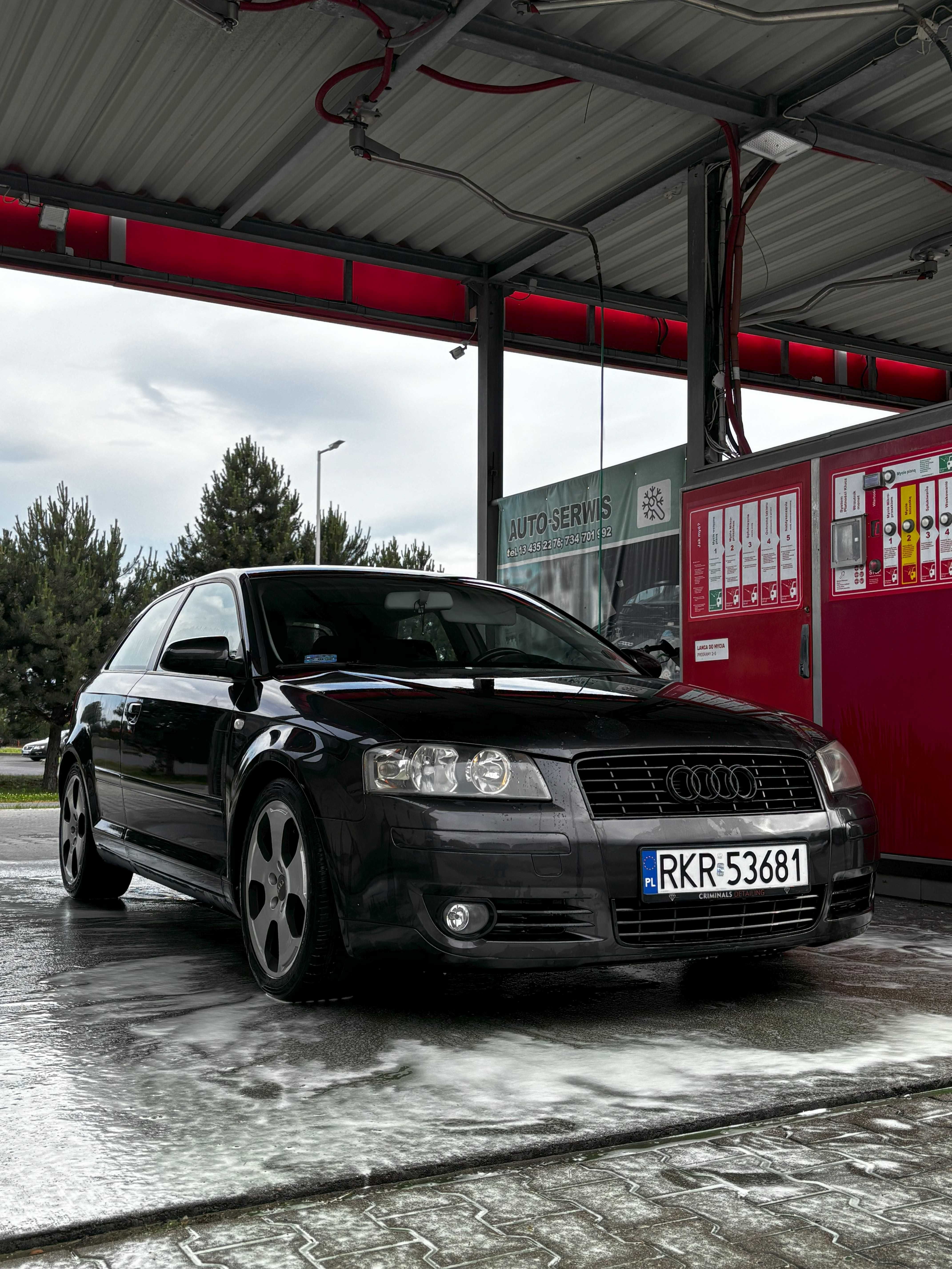 Audi A3 8P 1.6 MPI - idealne na pierwsze auto!