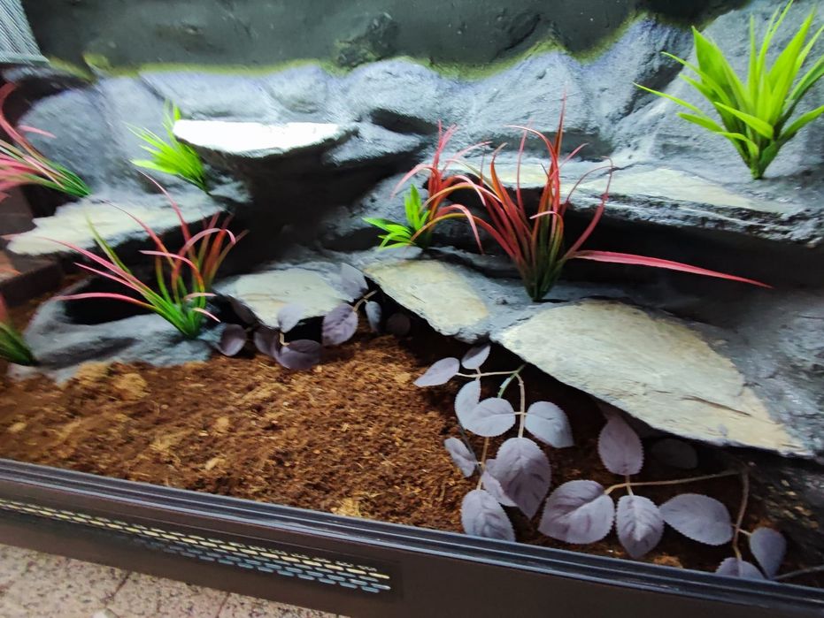 Terrarium 120x50x60 wąż pyton boa PETMARKET