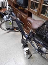 Bicicleta elétrica ou troco por material de pesca