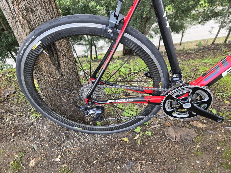 Focus cayo L ultegra 11v e cosmic