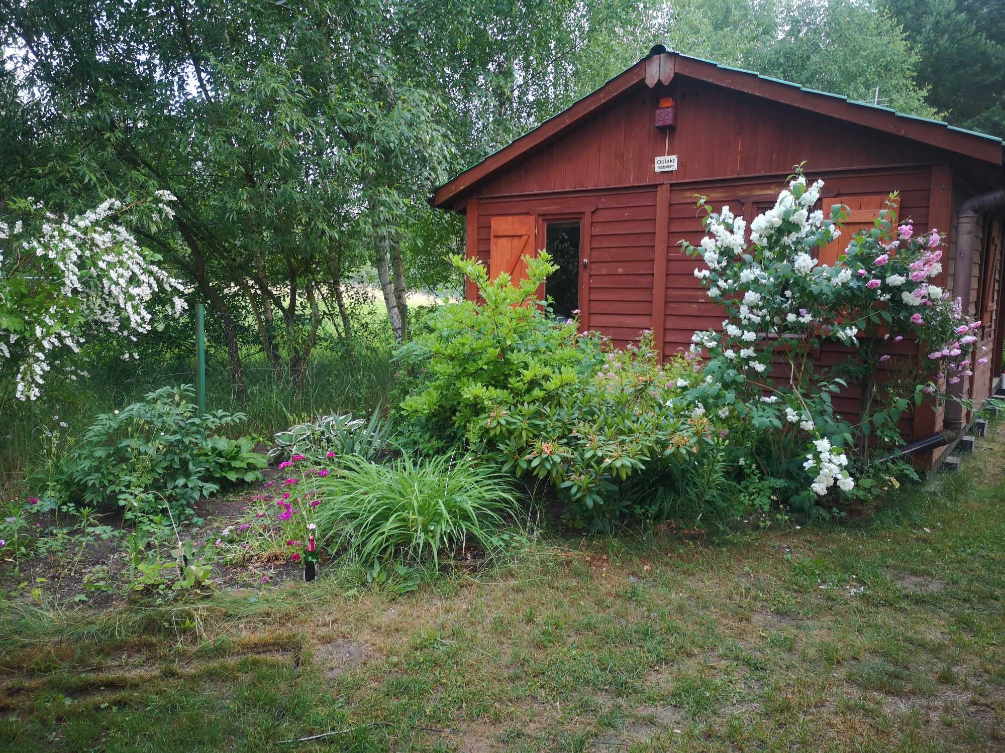 Domek nad jeziorem 4-6os 40m2 Zygmuntowo 6-8.07-psy last min 10-11.07
