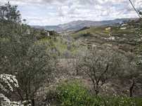Terreno  para venda