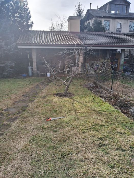 обрізка плодових дерев, спил дерев , Покос трави,будь-якої складності