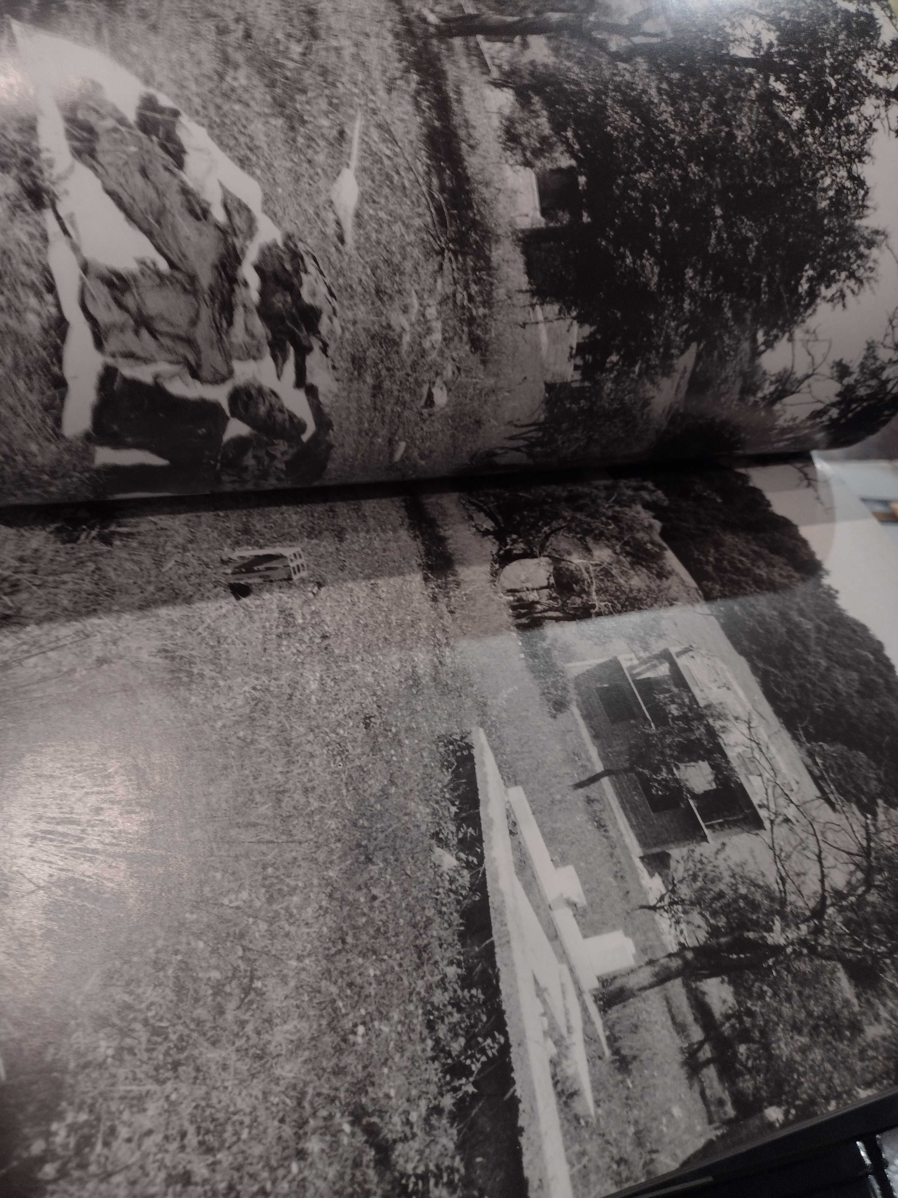 2001 World Press Photo
