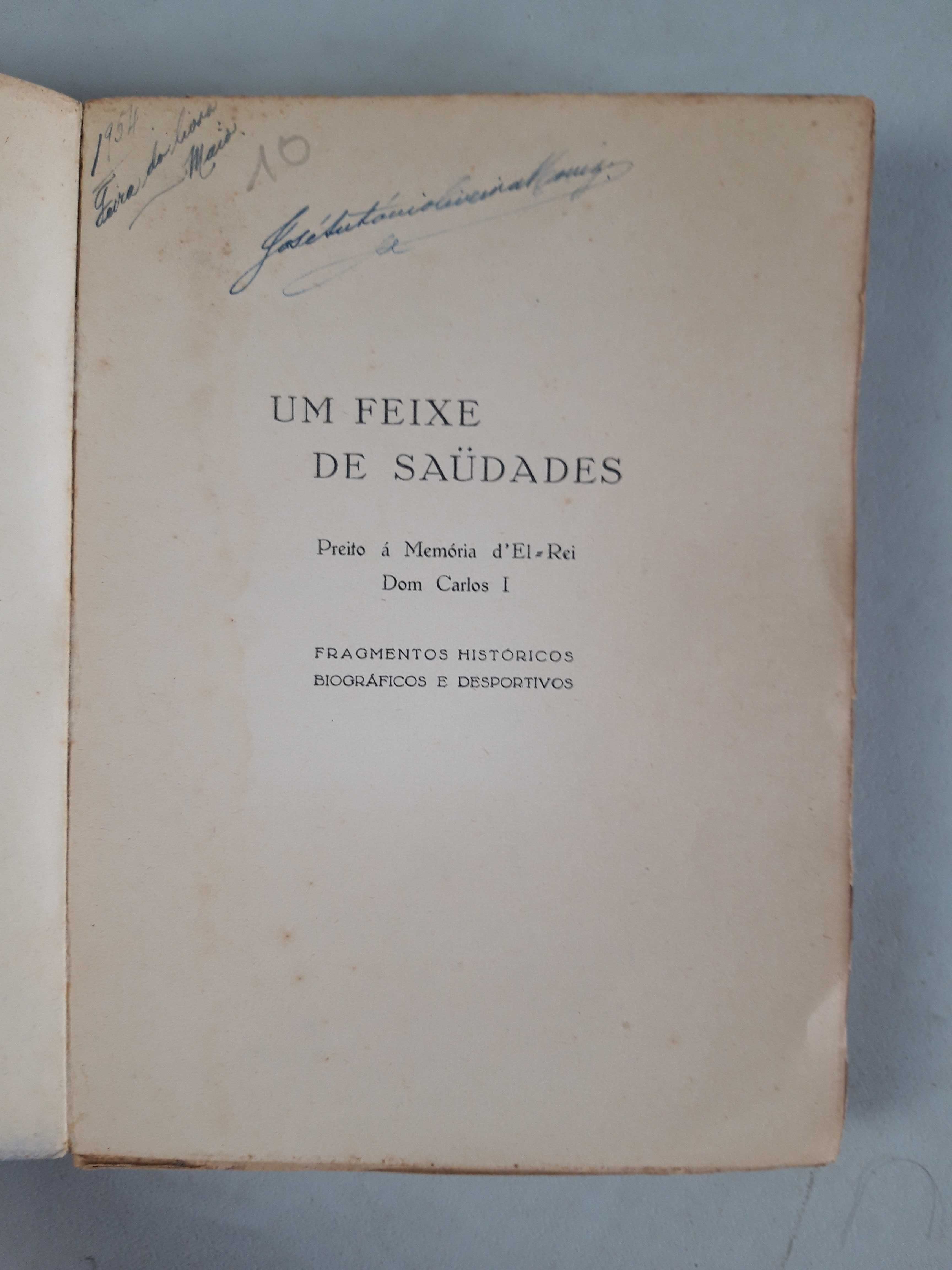 Livro Ref Par1  - Feixe de Saudades