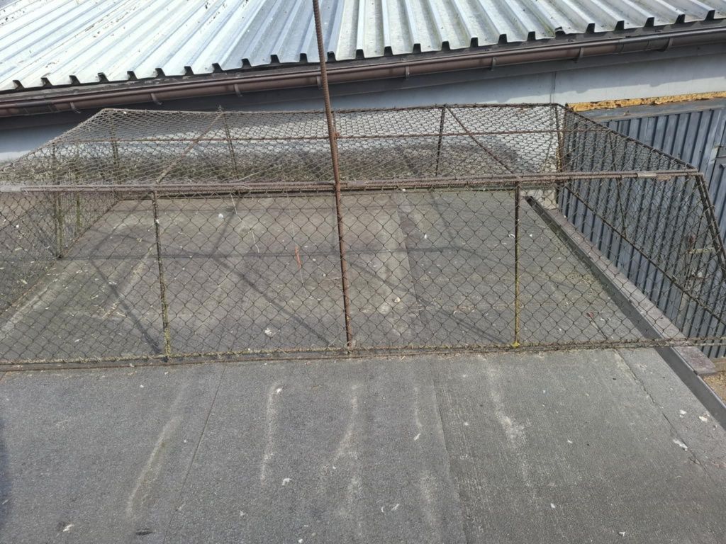 Krata dla gałebi