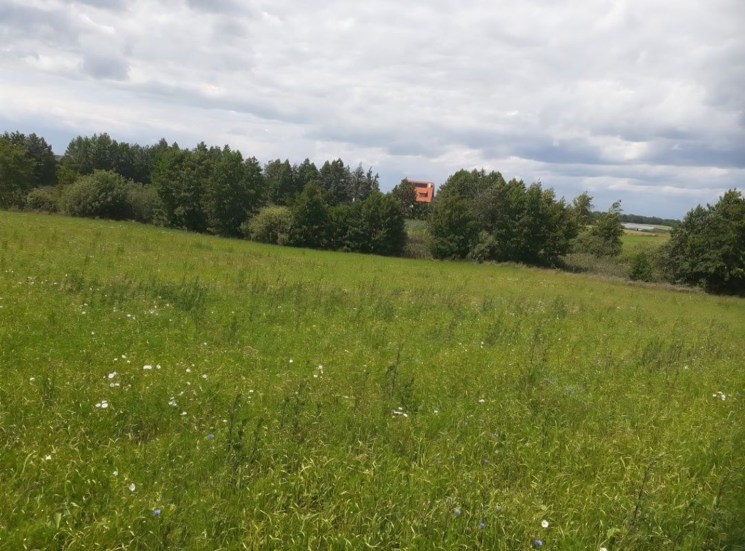Sprzedam działkę
