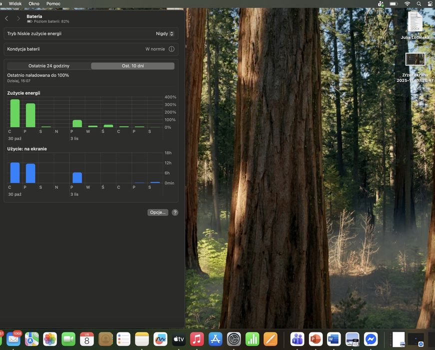 MacBook Pro 15” (2019) – i7 / 32 GB RAM / 256 GB SSD / Srebrny