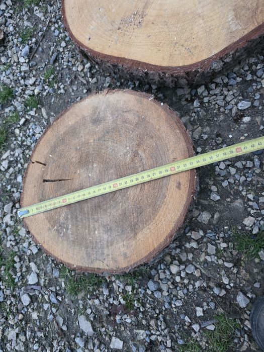 Plastry drewna krążki drewniane