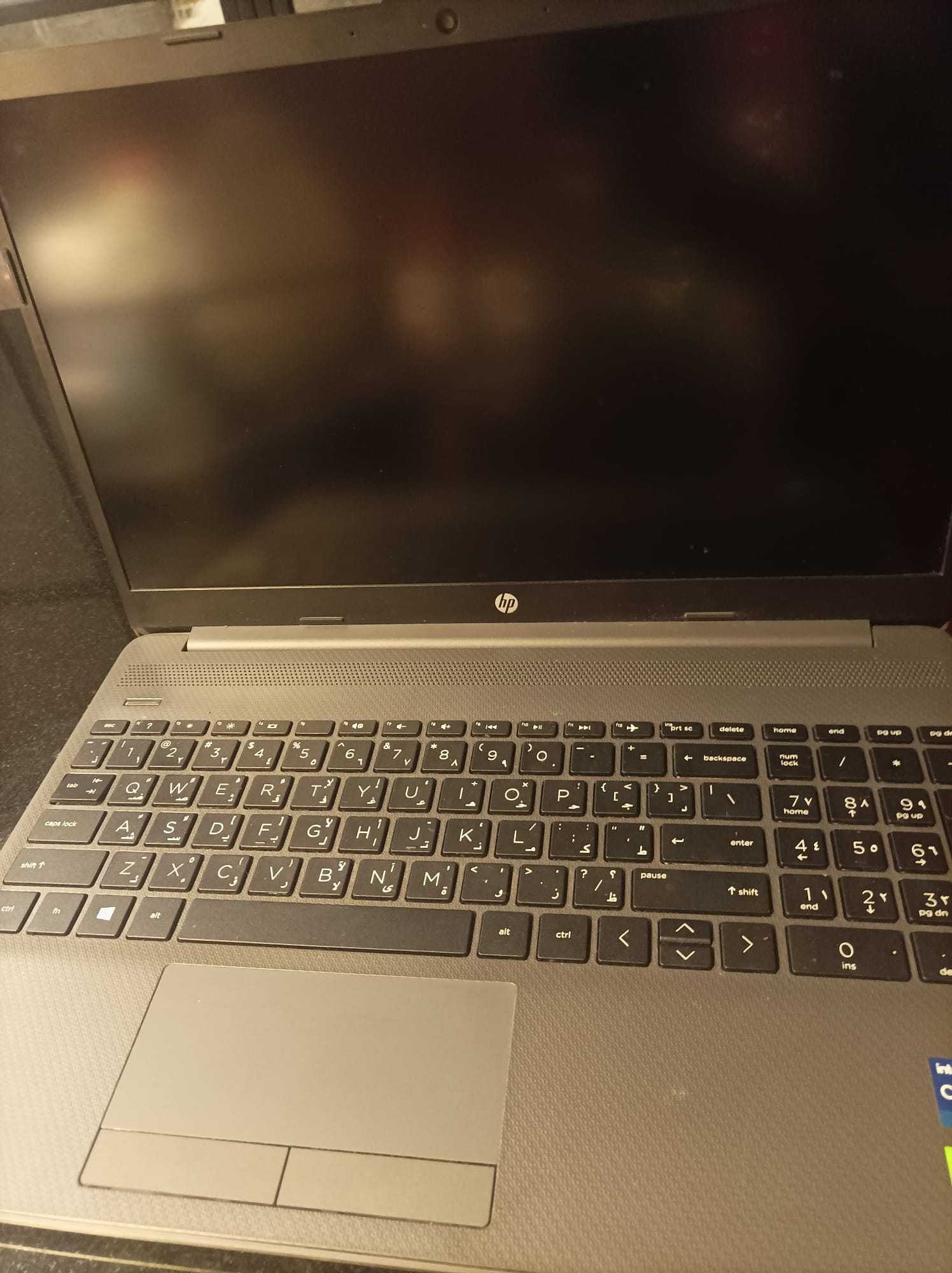 Laptop HP 15-dw3007nx 256GB 15,6" Intel Core i7 16 GB / 1256 GB szary