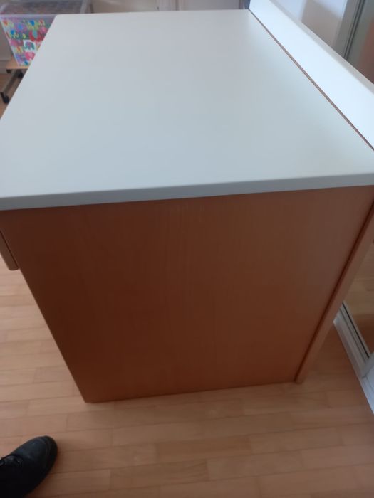 Secretaria branca e castanha