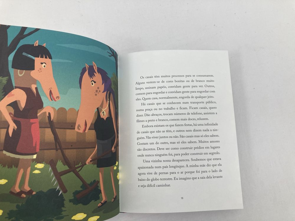 Livro O Paraíso são os Outros, de Valter Hugo Mãe