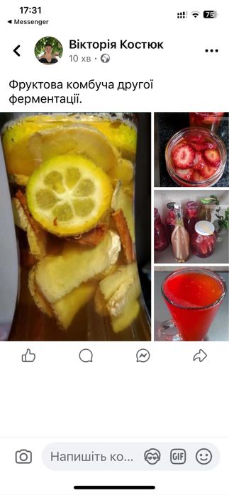 Чайний гриб/комбуча на 1л, 3л банку та на лимонадницю. Домашній квас.