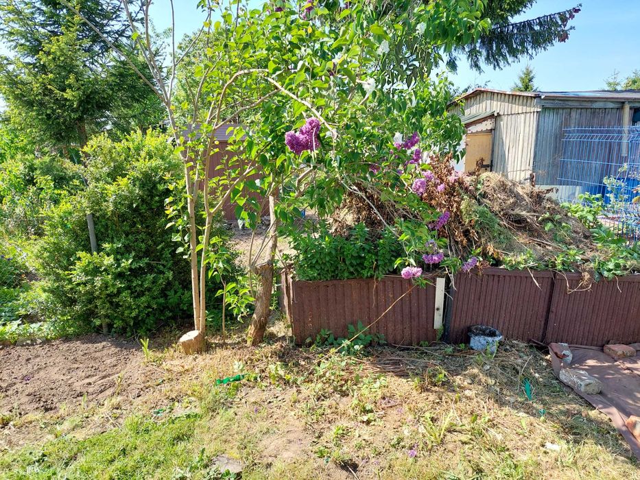 Oddam ziemię z kompostownika