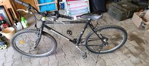 Mongoose swichback 29"
