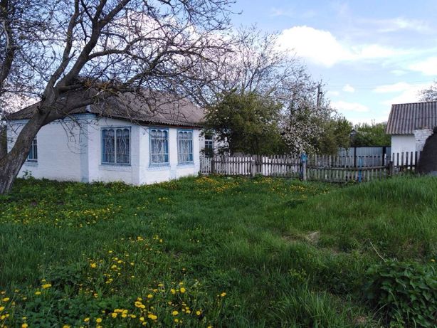 Продам дом с. Горошков, Тетиевского района, Киевской области