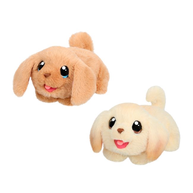 My puppys home little live pets