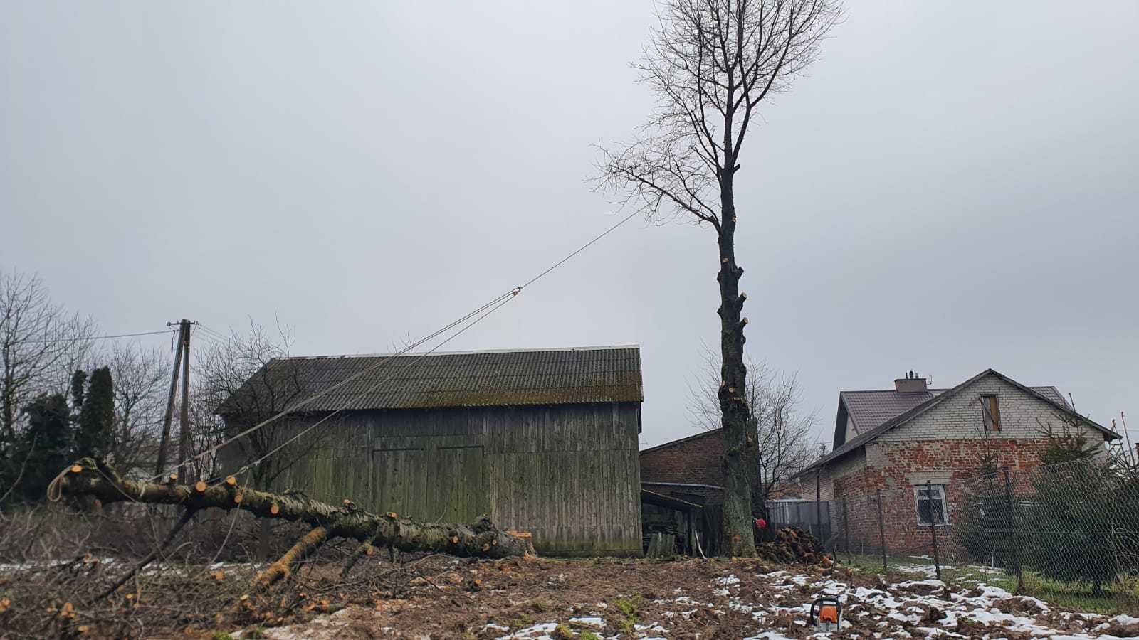 wycinka drzew metodą alpinistyczną prace wysokościowe frezowanie pni