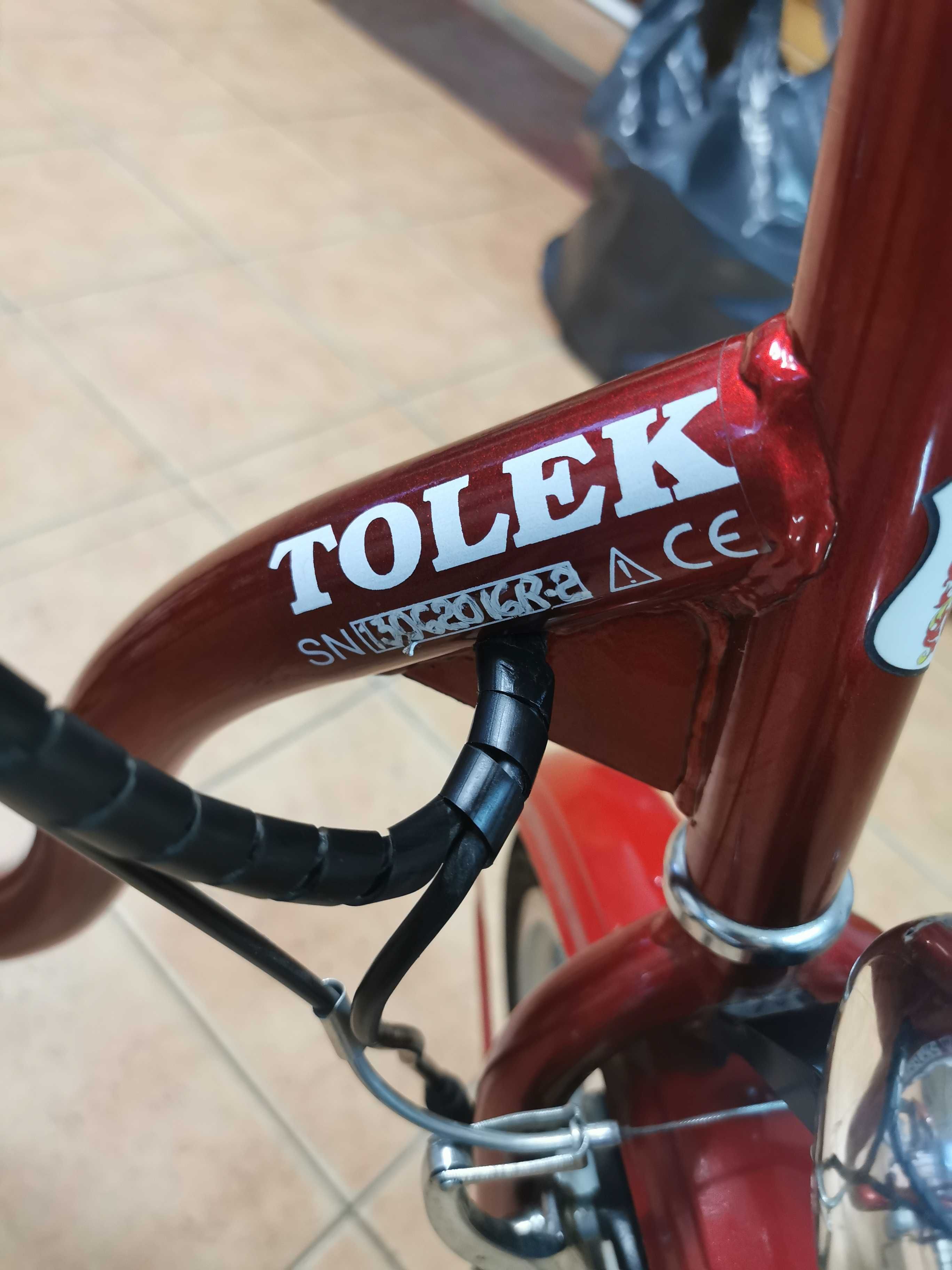 Rower Tolek - Głogów
