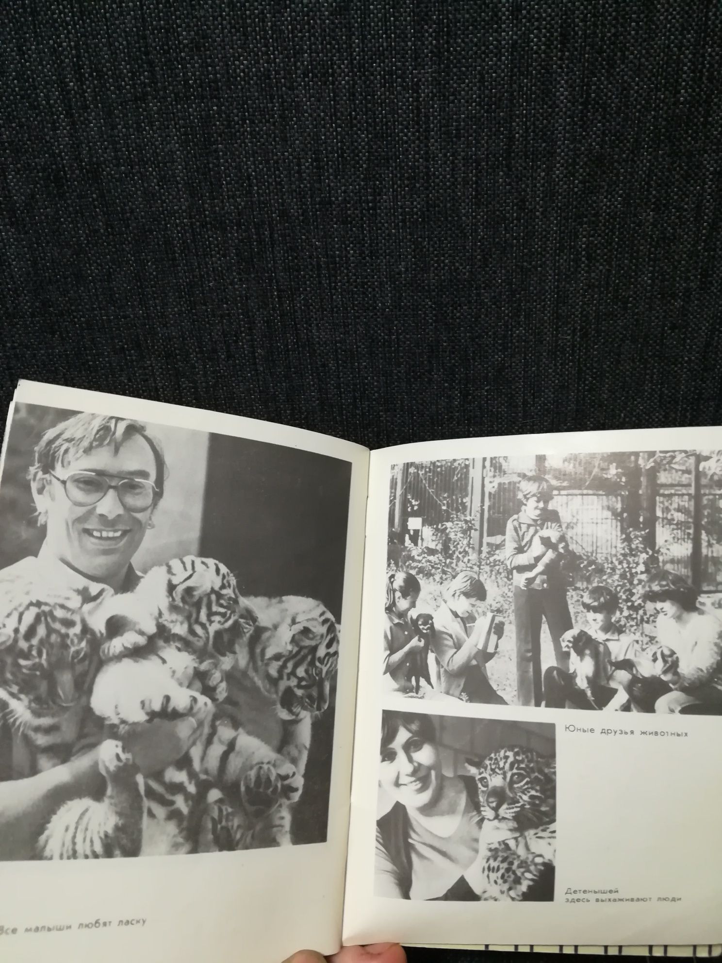 Книга А.Кремко "Николаевский зоопарк"1986 год.
