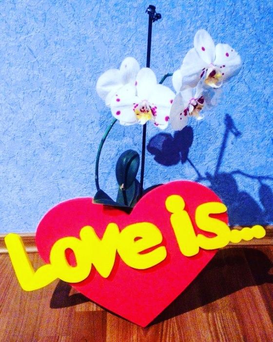 Свадебный декор, монограммы, сердца разных размеров из пенопласта