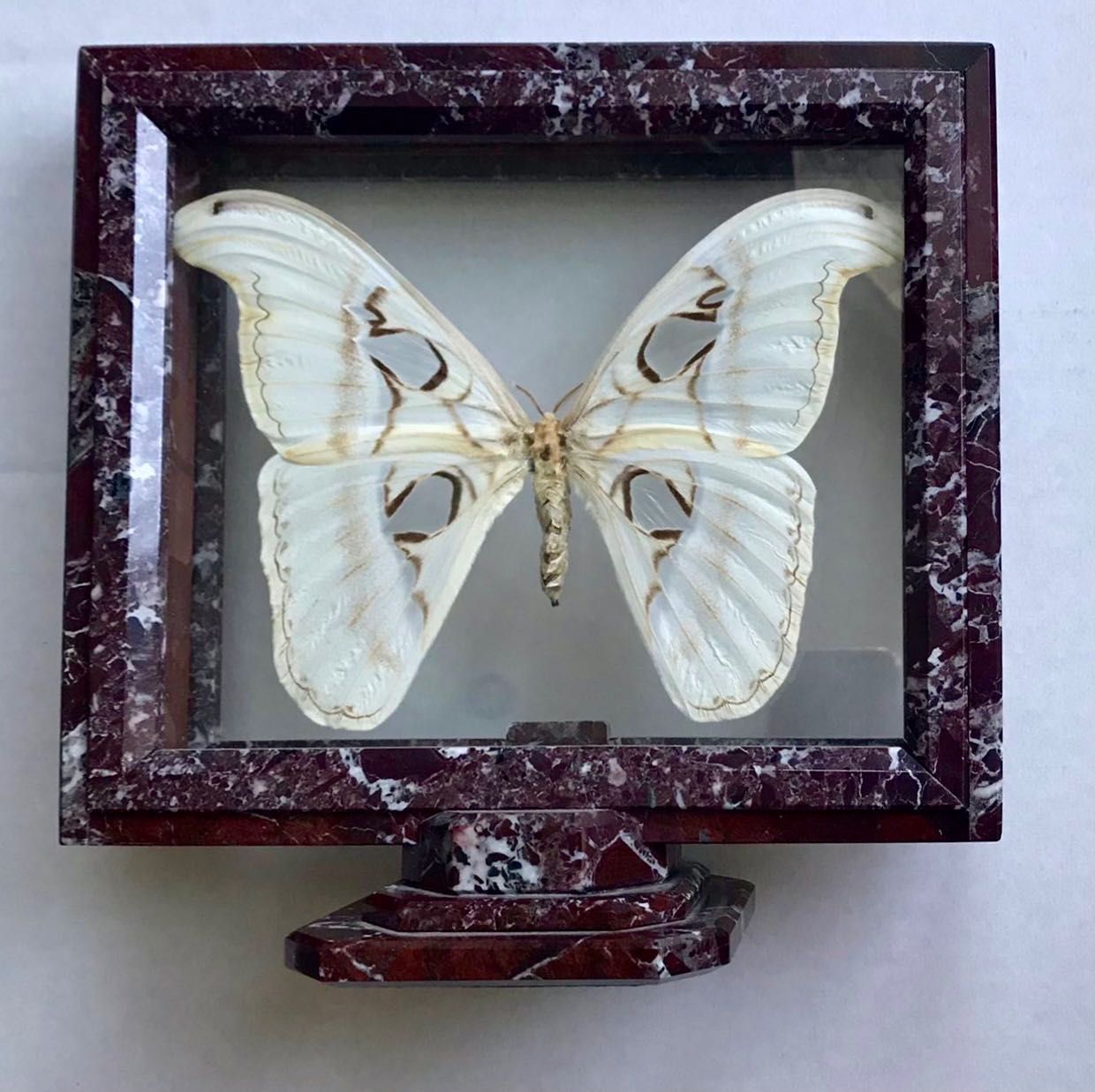 Метелики колекційні (бабочки в стекле) в рамах з натурального каменя