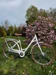 Rower damski Romet ArtClassic  26" rama rozmiar M