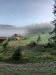 Продається земельна ділянка в Ворохті