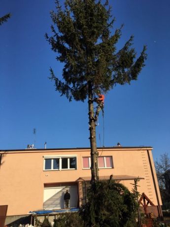 Wycinka drzew Jachranka i okolice, rębak do gałęzi, podnośnik