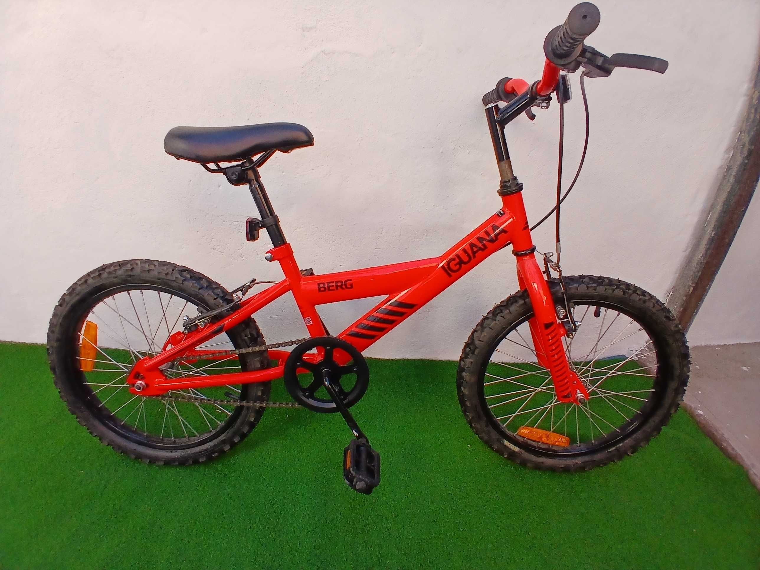 Bicicleta berg iguana roda 18