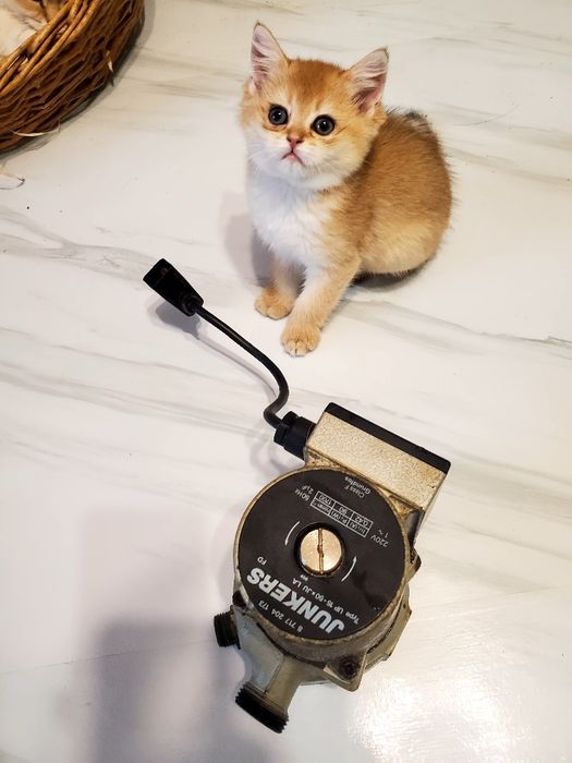 Насос котла юнкерс