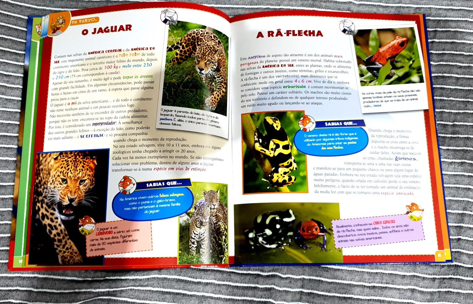 Livro  "Atlas dos Animais" de Gerônimo Stilton