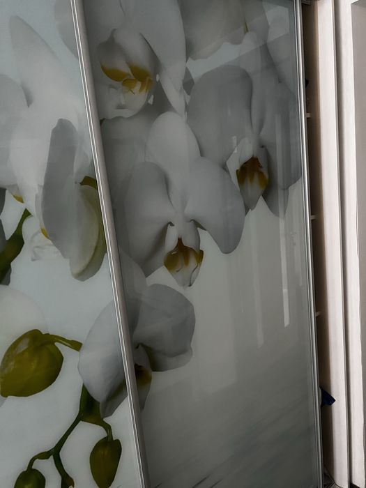 Продам шафу-купе б/у із орхідеями