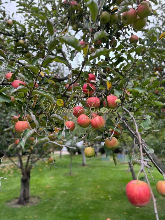 Продаж ділянки 1,7 Га Конча-Заспа та резиденції будинку 250м2