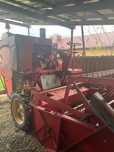 Massey Ferguson 31