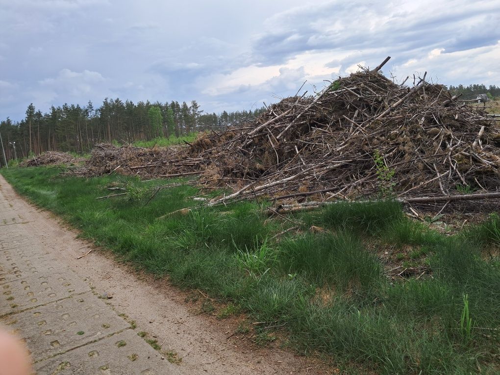 Oddam gałęzie, zrąbki