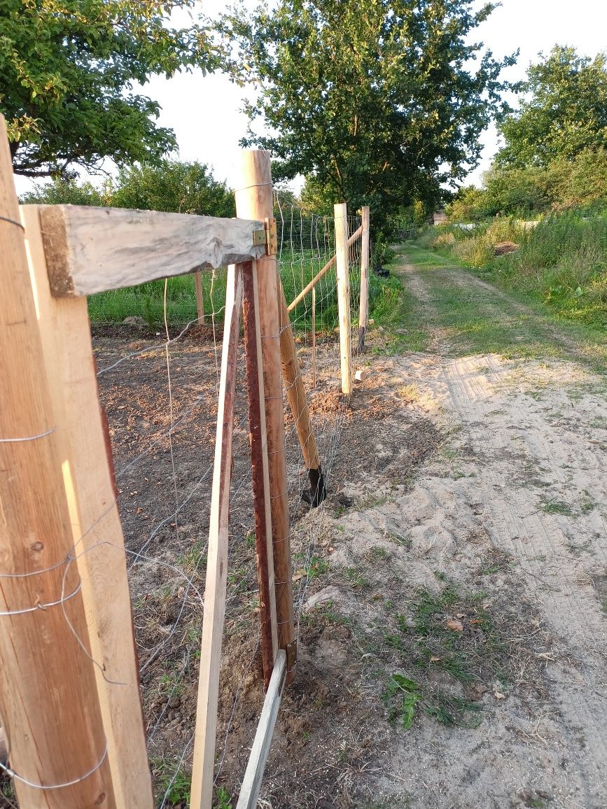 Ogrodzenie Leśne Tymczasowe Ogrodzenie Budowlane Siatka leśna