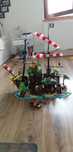 Lego piraci z zatoki Baracud