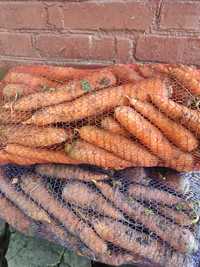 Продам моркву на зиму