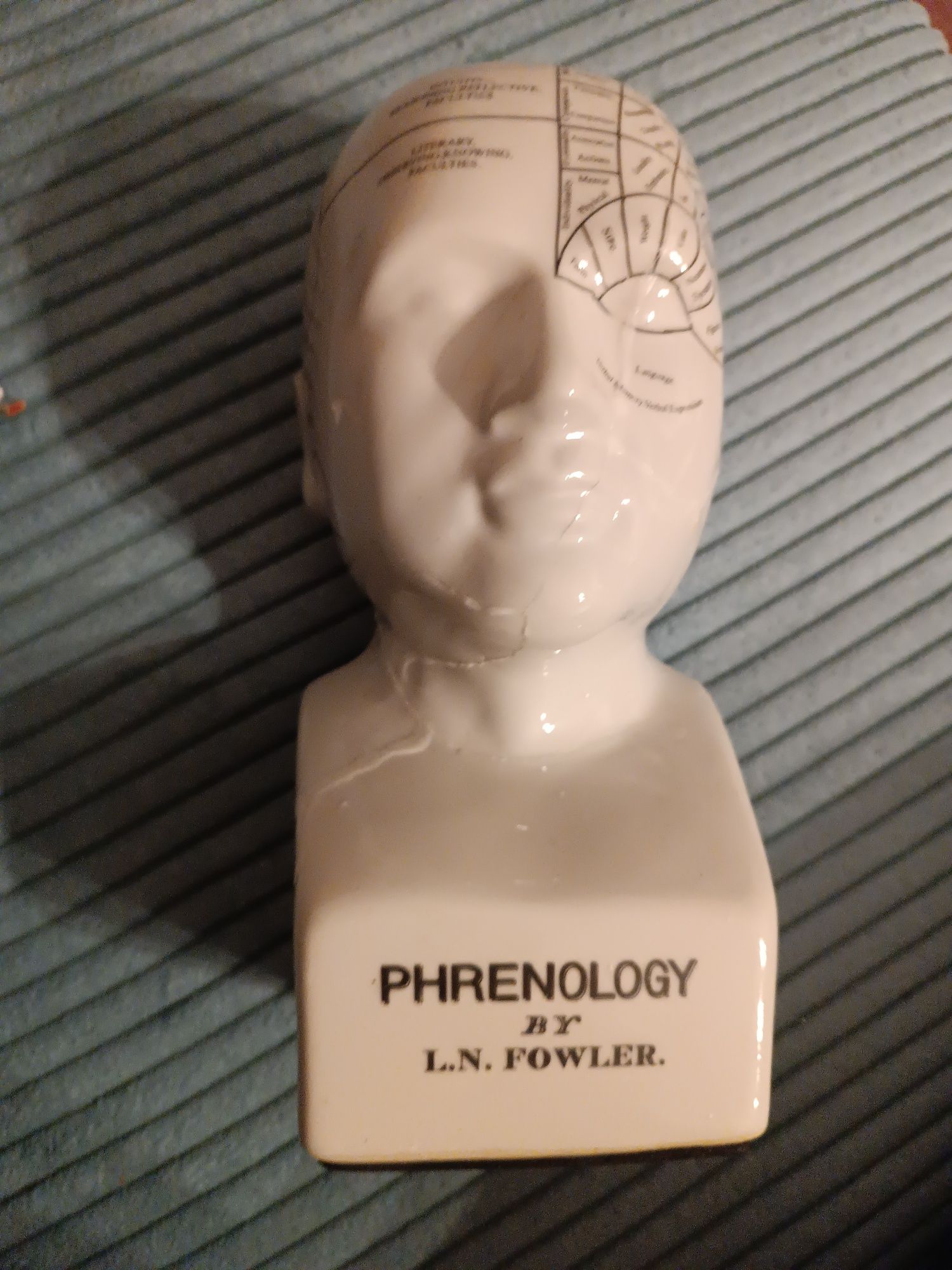 Figurka phrenology