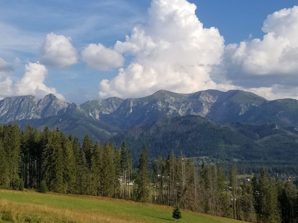 "Domek w Polanach - Koscielisko", Zakopane