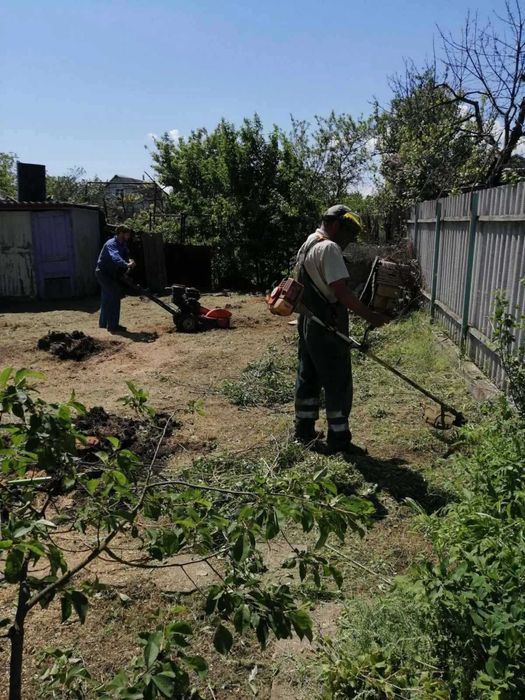 Покос травы, Расчистка участка, Спил, обрезка деревьев, Вывоз веток