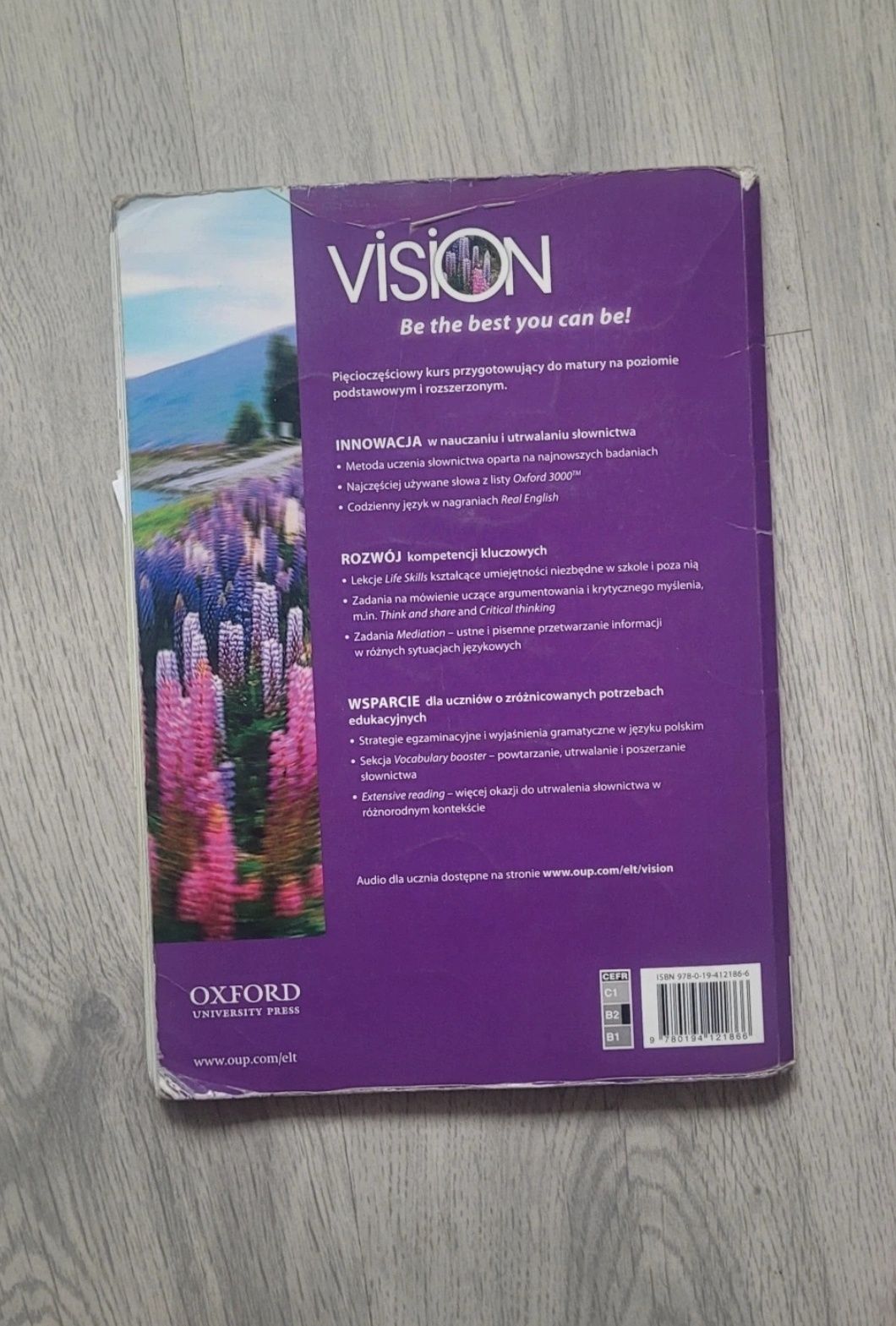 Angielski Vision 4