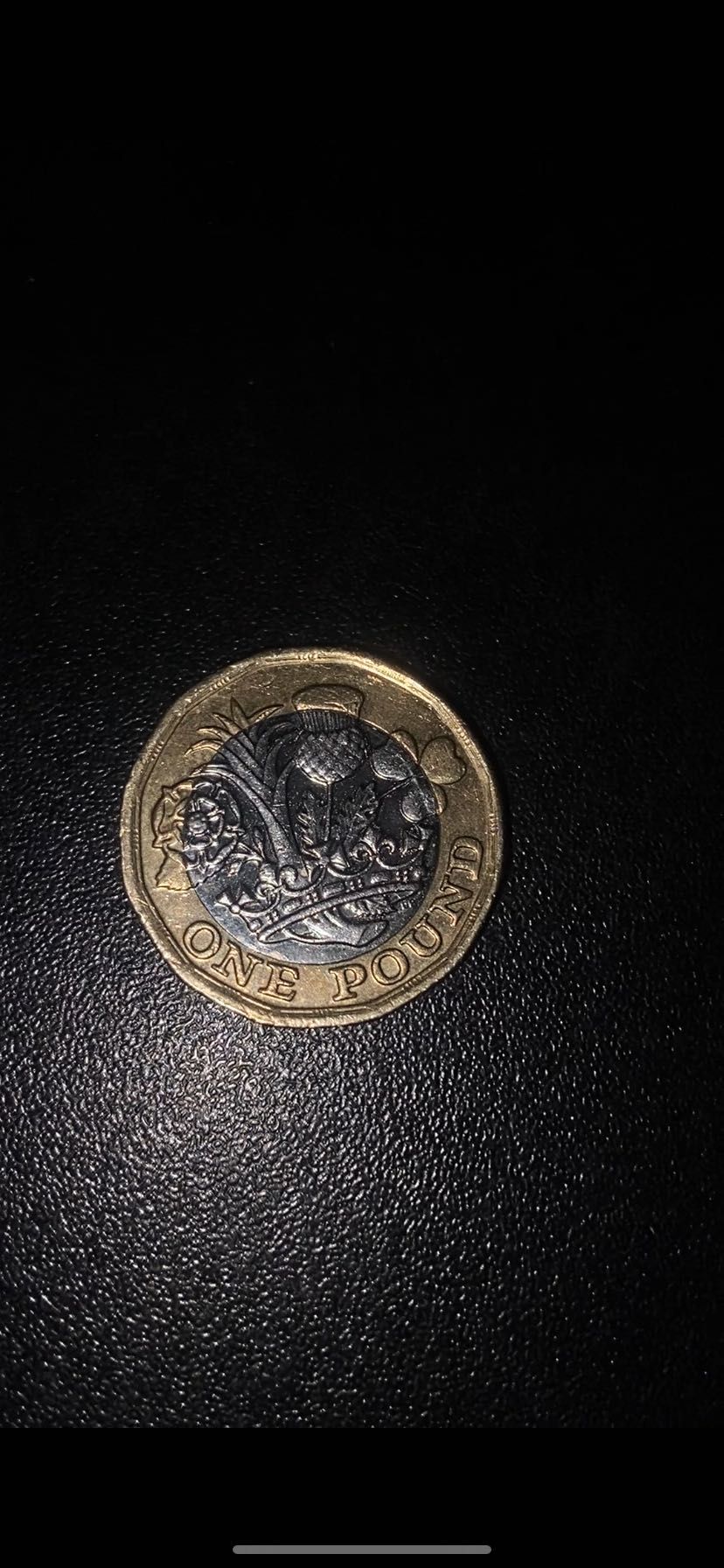 ONE POUNDE Elizabeth 2016