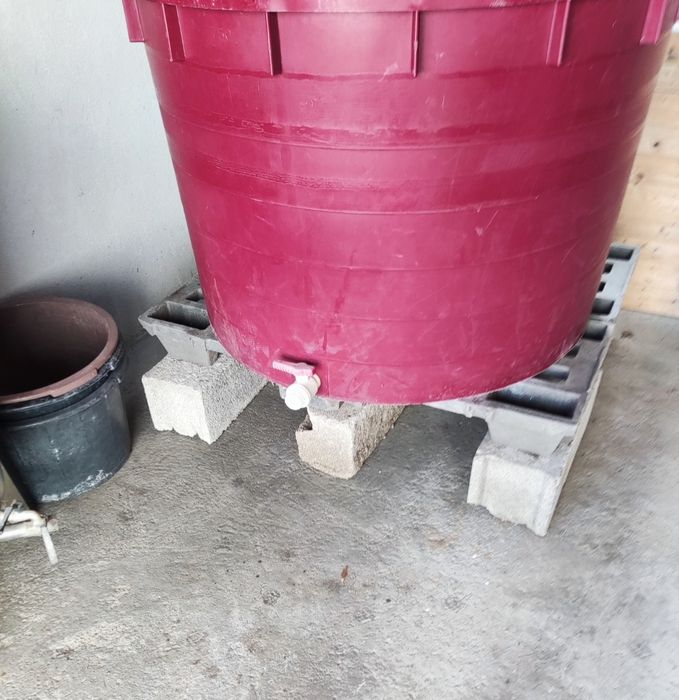 Cesto de uvas 1000 litros
